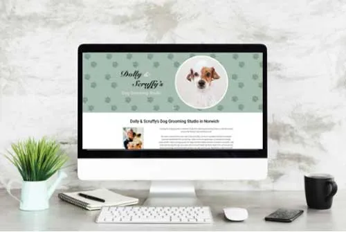 portfolio
